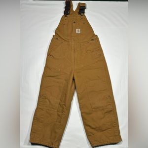 Carhartt Insulated Overalls
